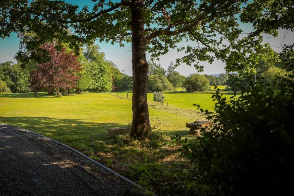 5* Self Catering Villa Nenagh Kültér fotó